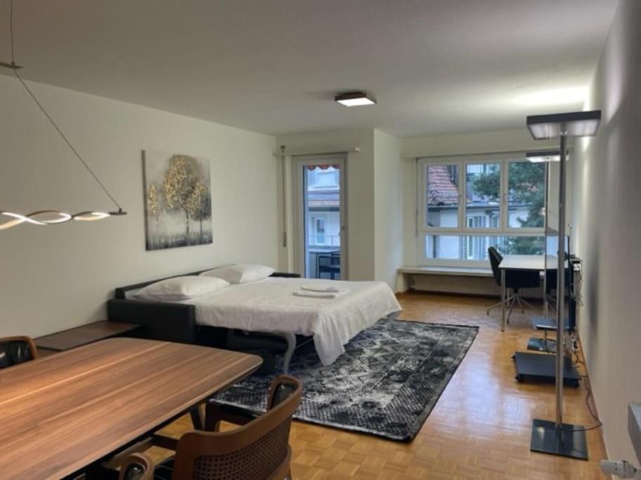 Cozy, Sunny, City Center 1 Bedroom Flat Ζυρίχη Εξωτερικό φωτογραφία