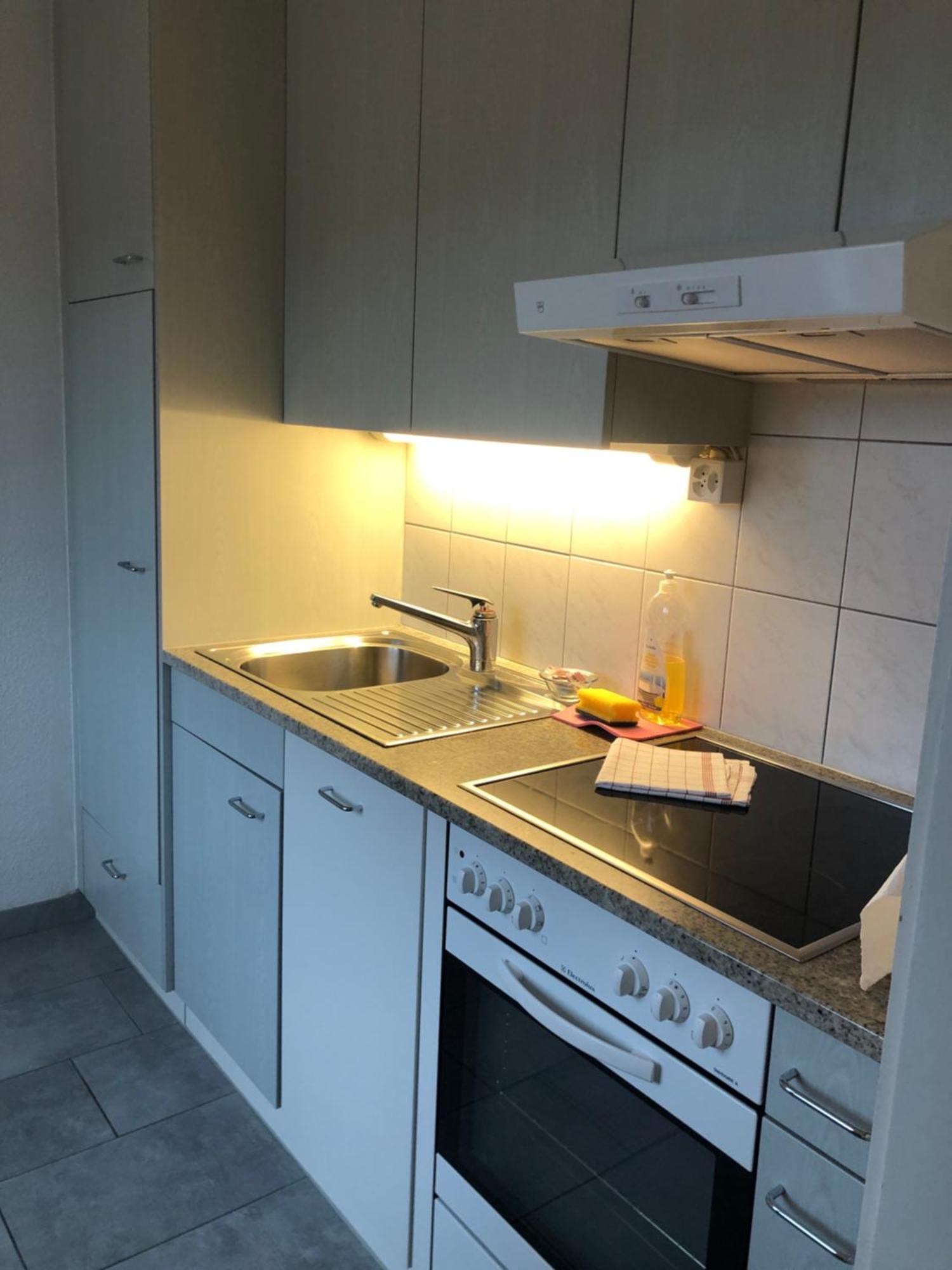 Cozy, Sunny, City Center 1 Bedroom Flat Ζυρίχη Εξωτερικό φωτογραφία